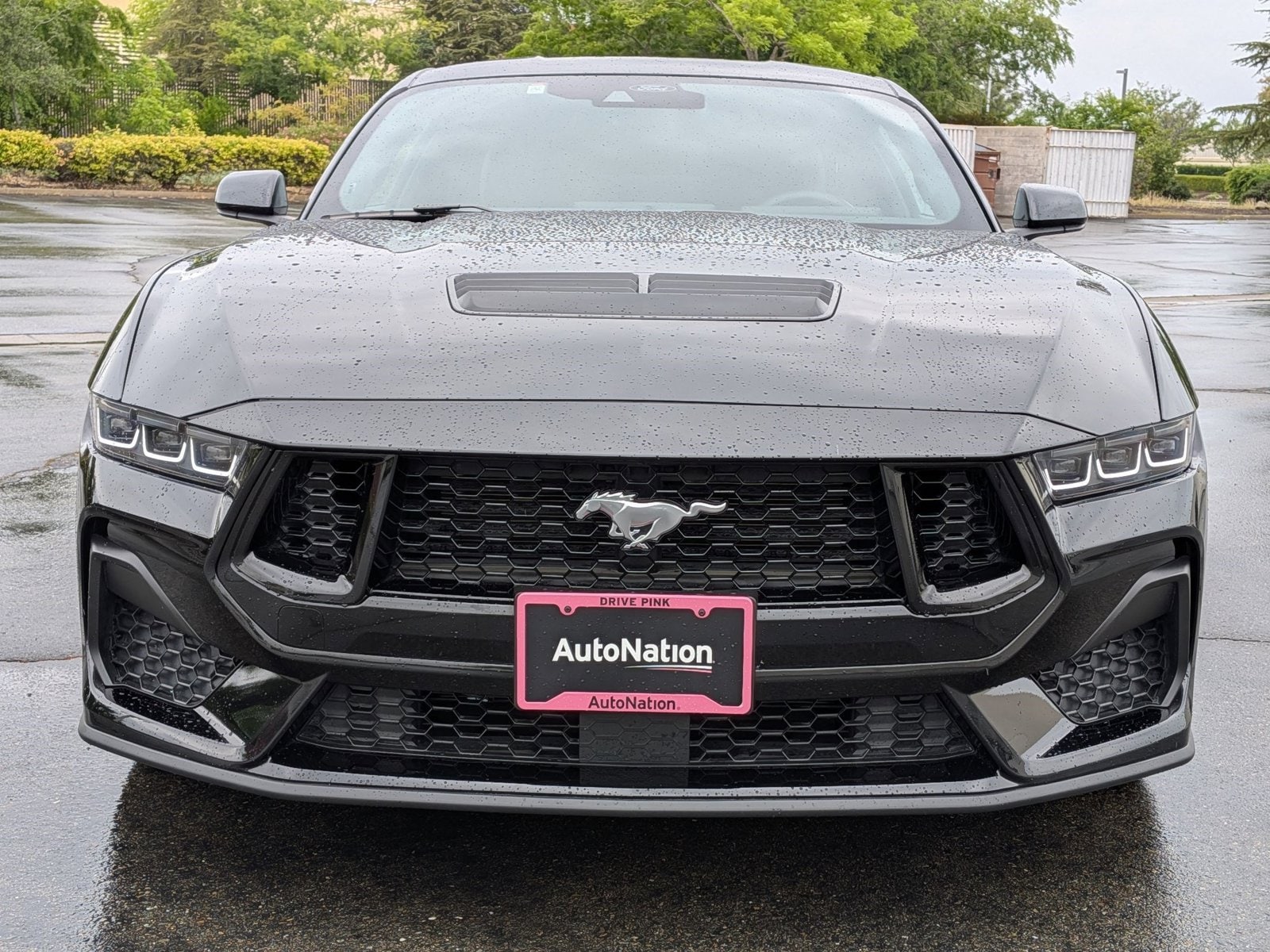 2024 Ford Mustang GT photo 2