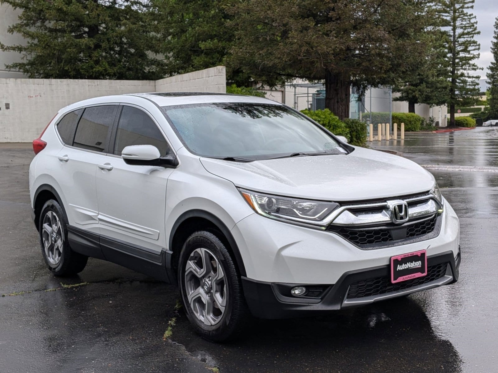 2019 Honda CR-V EX-L photo 3