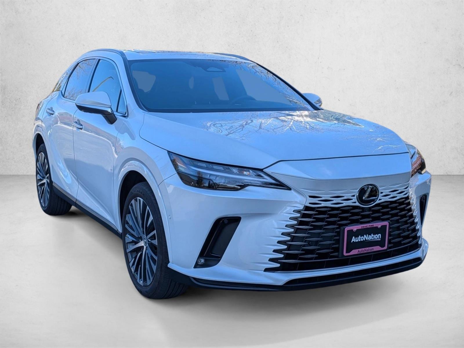 2025 LEXUS RX 350 RX 350 Premium Plus photo 2