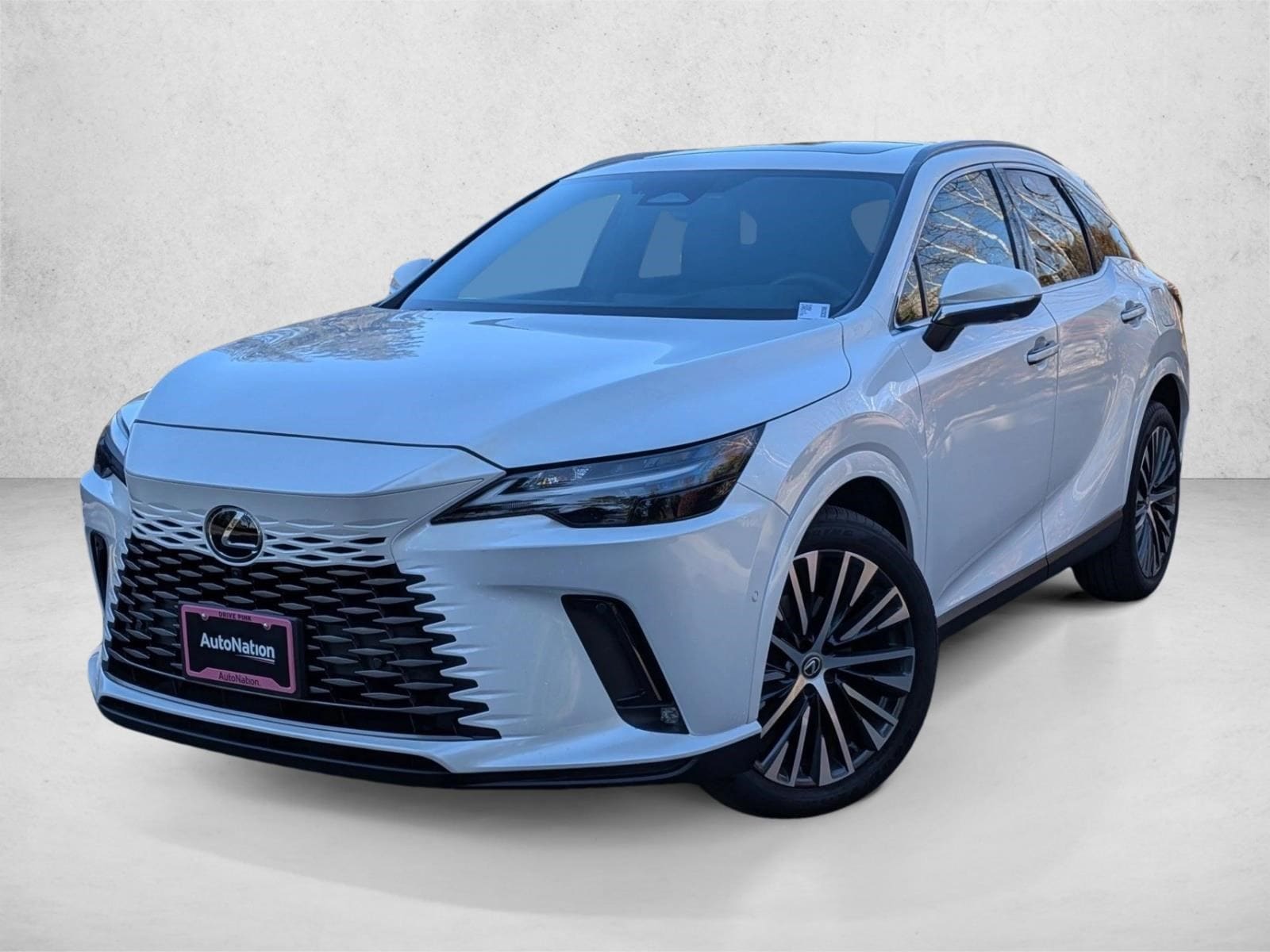 2025 LEXUS RX 350 RX 350 Premium Plus photo 1