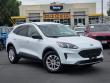 Used 2022 Ford Escape SE SUV