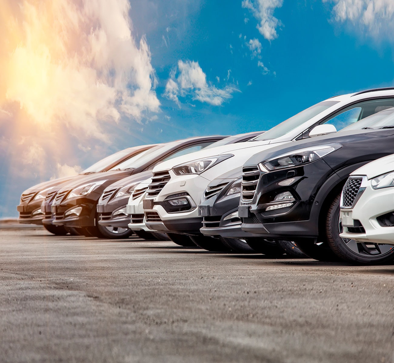 Rental Cars for Sale Parked in a Parking Lot