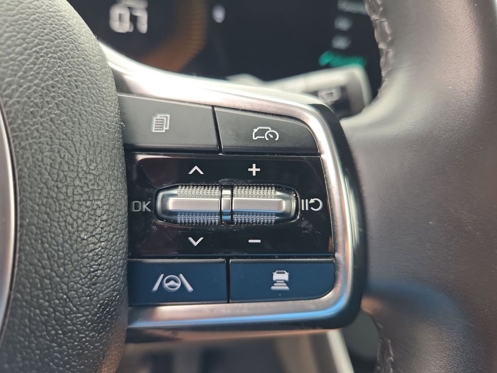 Thumbnail: 2025 Kia Carnival - 21