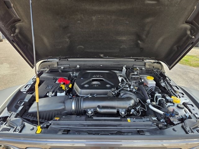 Thumbnail: 2025 Jeep Wrangler - 31