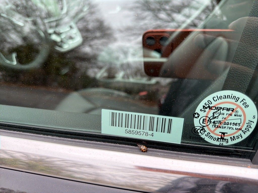 Thumbnail: 2025 Chrysler Pacifica - 11