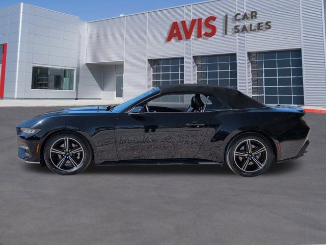 Thumbnail: 2024 Ford Mustang - 10