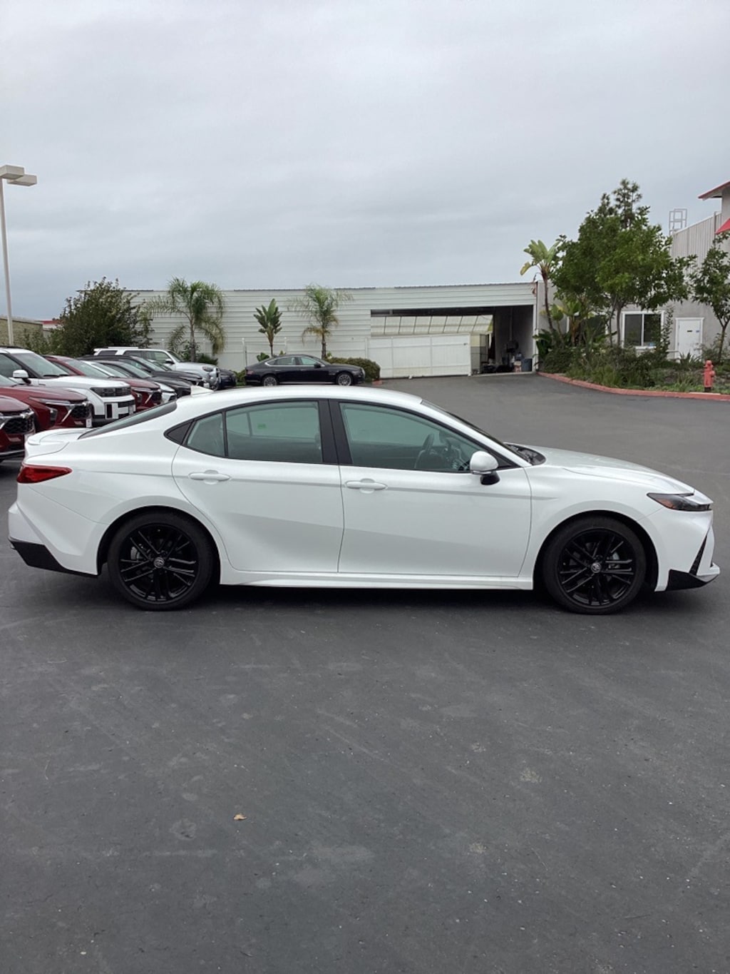 Certified 2025 Toyota Camry SE Sedan