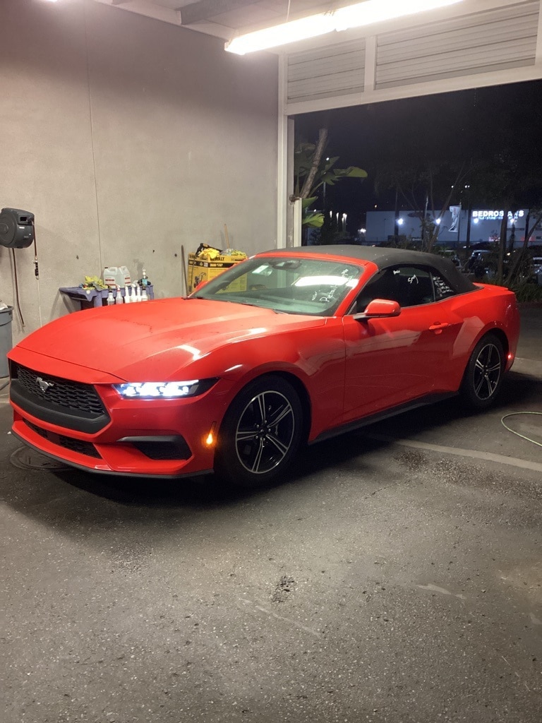 2024 Ford Mustang's photo