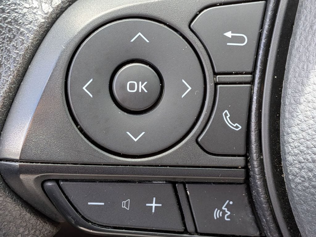 Thumbnail: 2025 Toyota RAV4 - 22