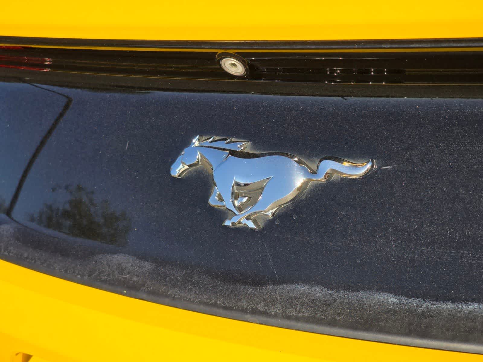 Thumbnail: 2016 Ford Mustang - 12