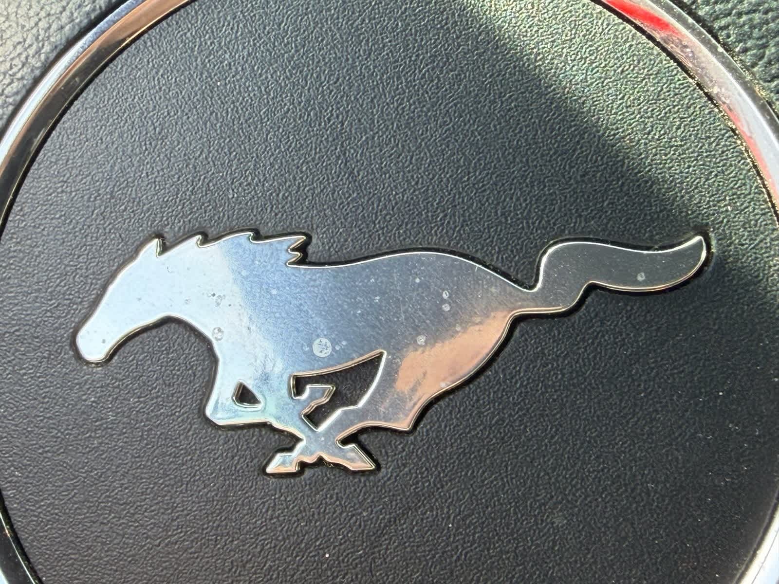 Thumbnail: 2015 Ford Mustang - 11