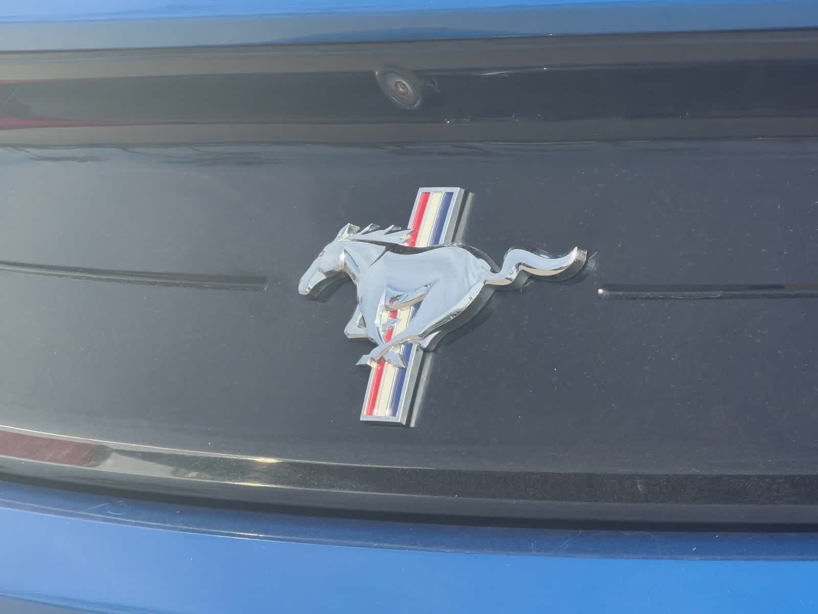 Thumbnail: 2019 Ford Mustang - 26