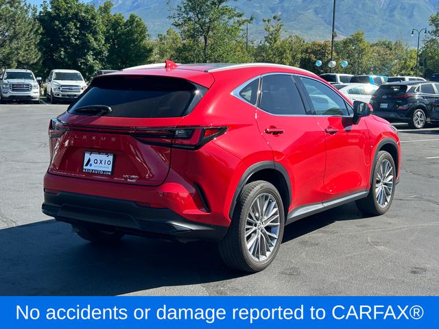 2023 Lexus NX 350 Luxury photo 3