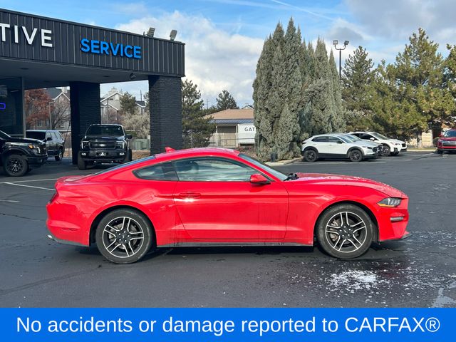 2022 Ford Mustang EcoBoost Premium photo 2