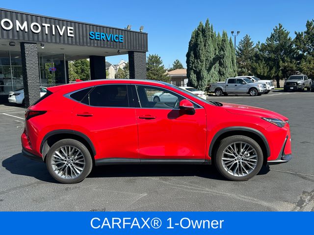 2023 Lexus NX 350 Luxury photo 2