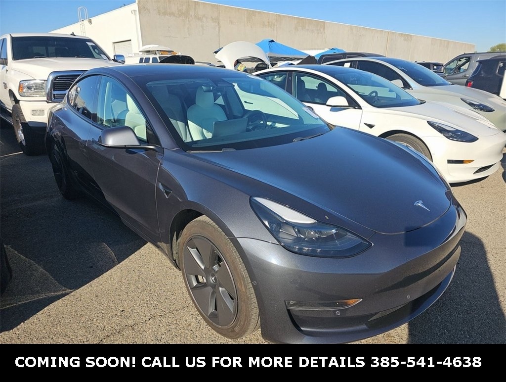 2021 Tesla Model 3 Base's photo