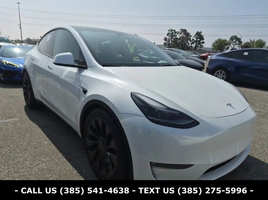 2022 Tesla Model Y's photo
