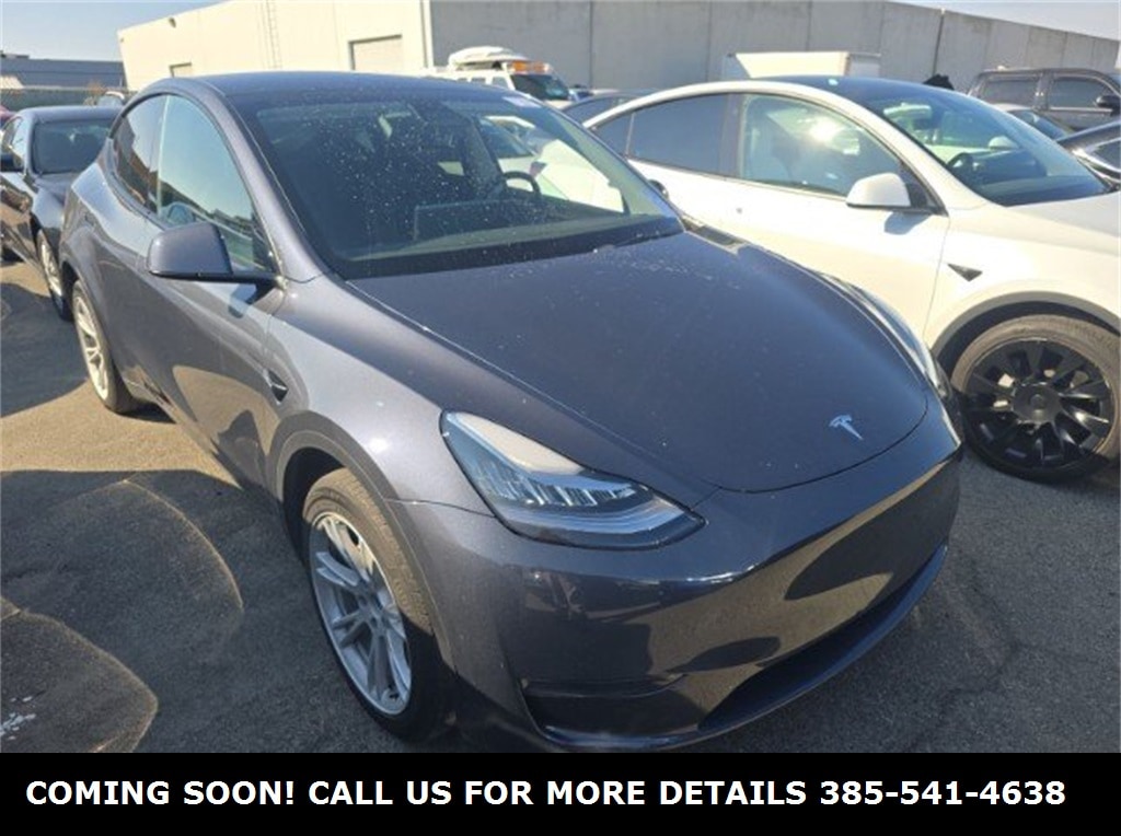 2023 Tesla Model Y Performance's photo