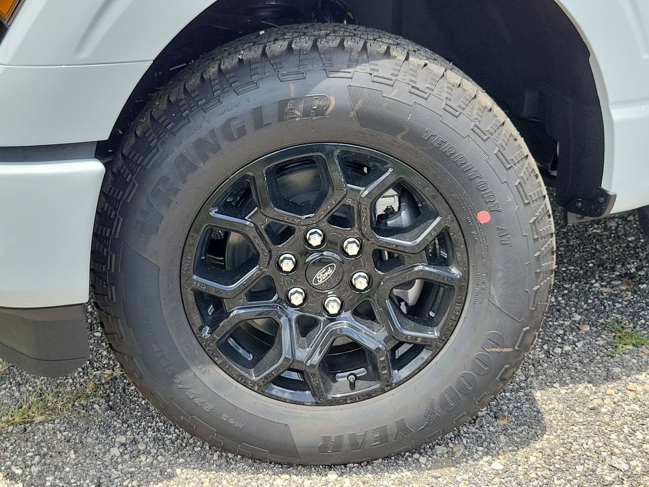 2025 Ford F-150 XLT - Photo 10