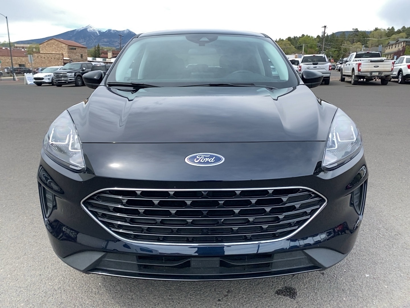 Used 2021 Ford Escape SE with VIN 1FMCU0G60MUA16897 for sale in Flagstaff, AZ