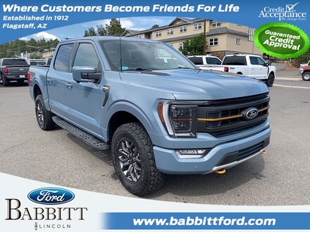 2023 Ford F-150 Tremor Truck