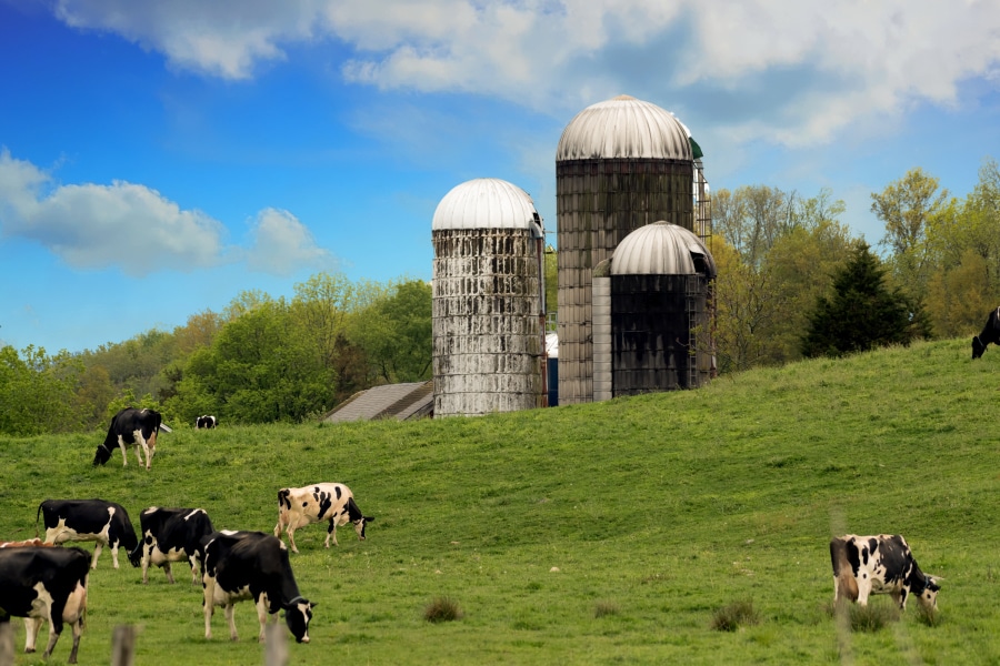 Silos Silos