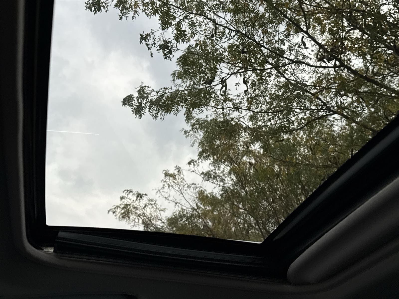 Thumbnail: 2016 Toyota RAV4 - 13