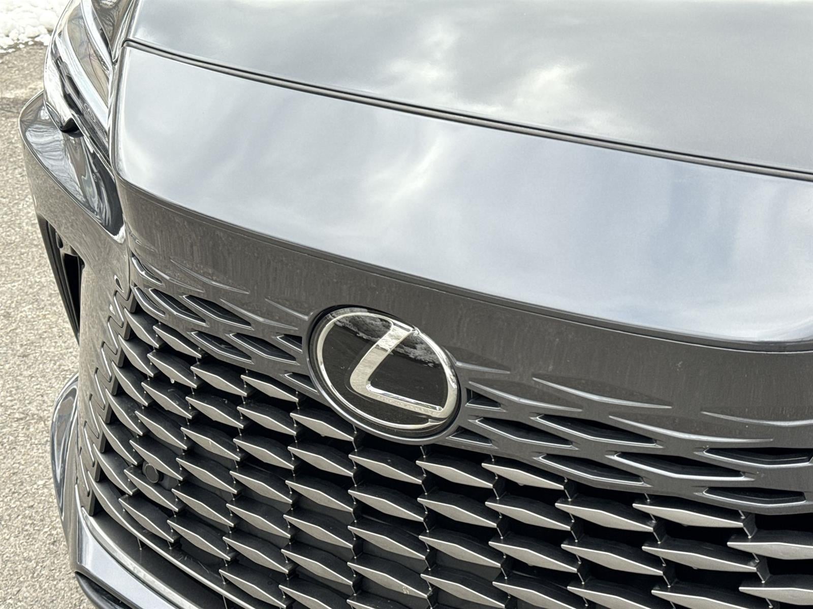 Thumbnail: 2024 Lexus RX - 10