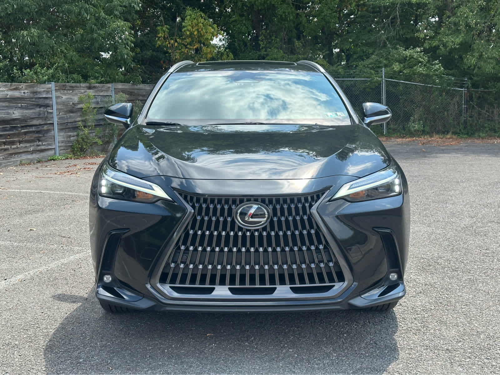 Thumbnail: 2023 Lexus NX - 2