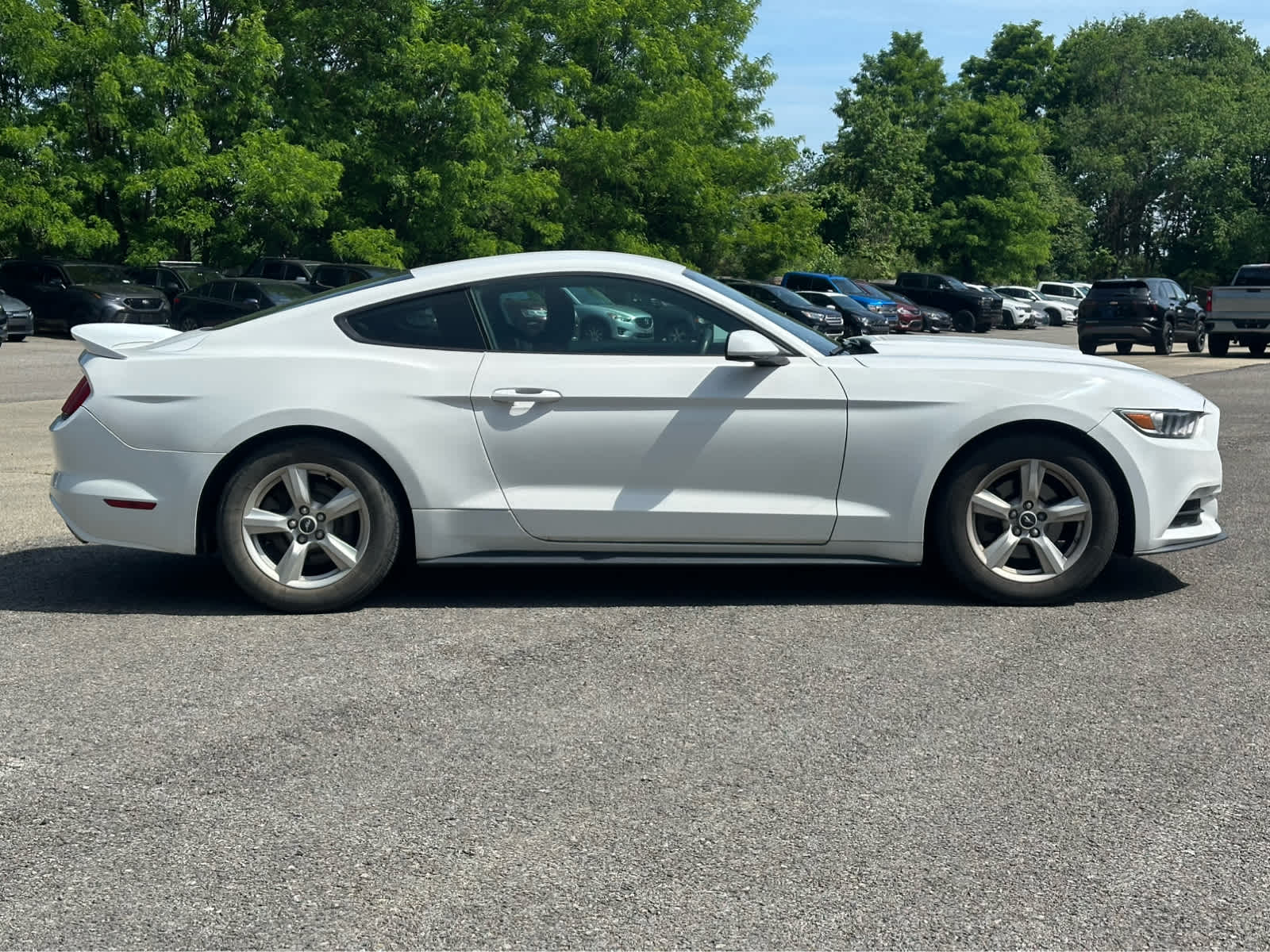 Thumbnail: 2017 Ford Mustang - 8