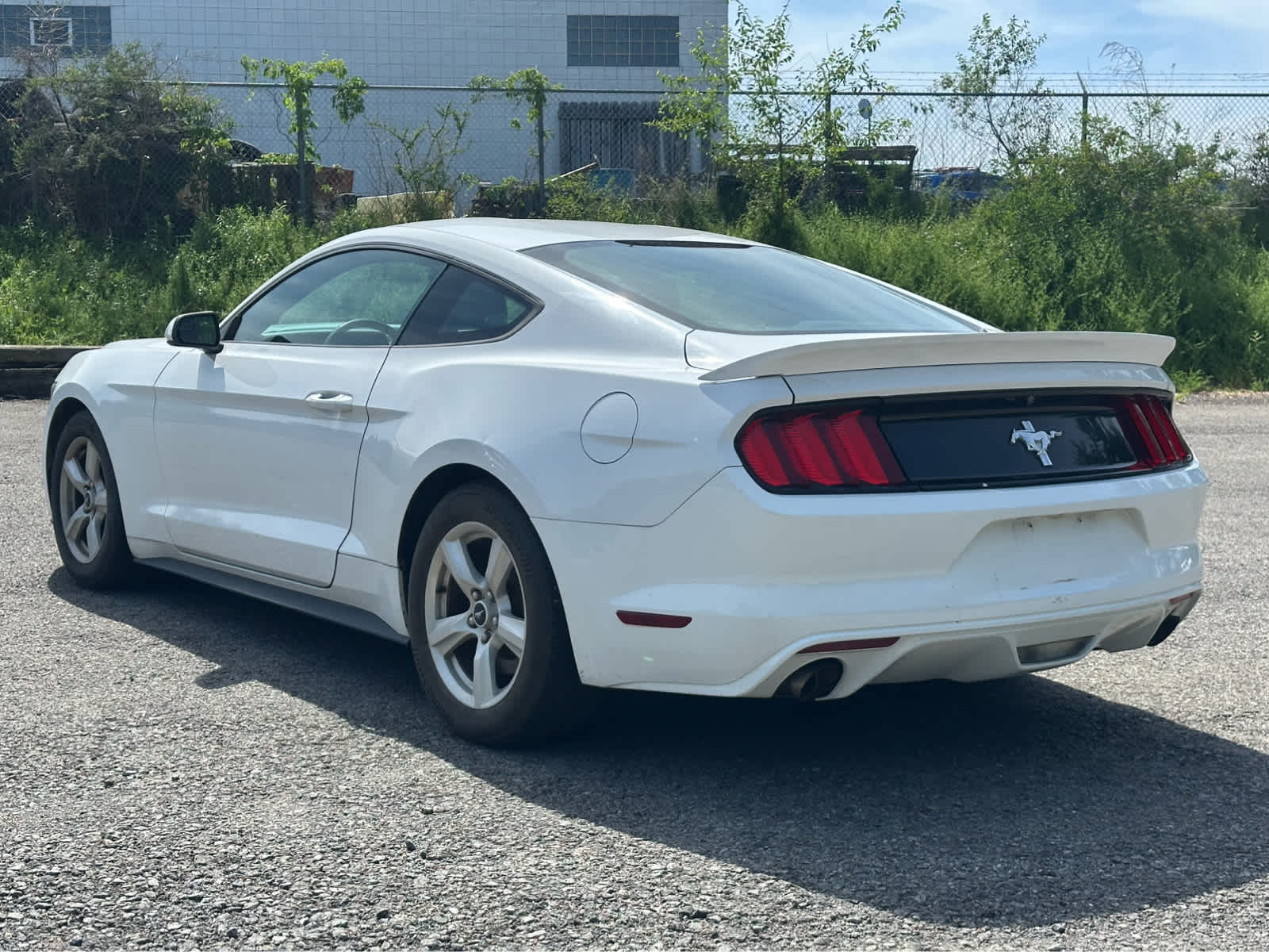 Thumbnail: 2017 Ford Mustang - 5