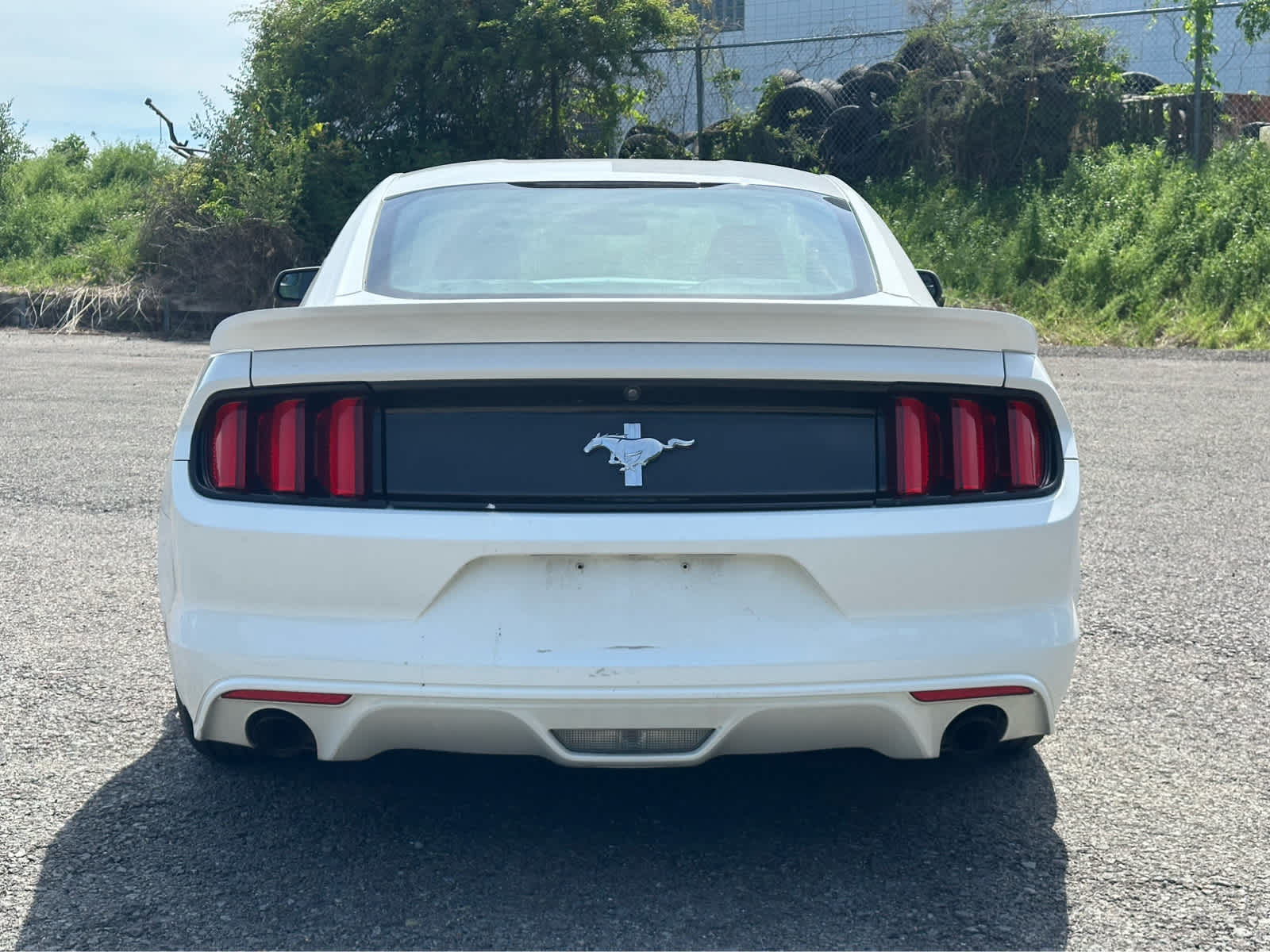 Thumbnail: 2017 Ford Mustang - 6