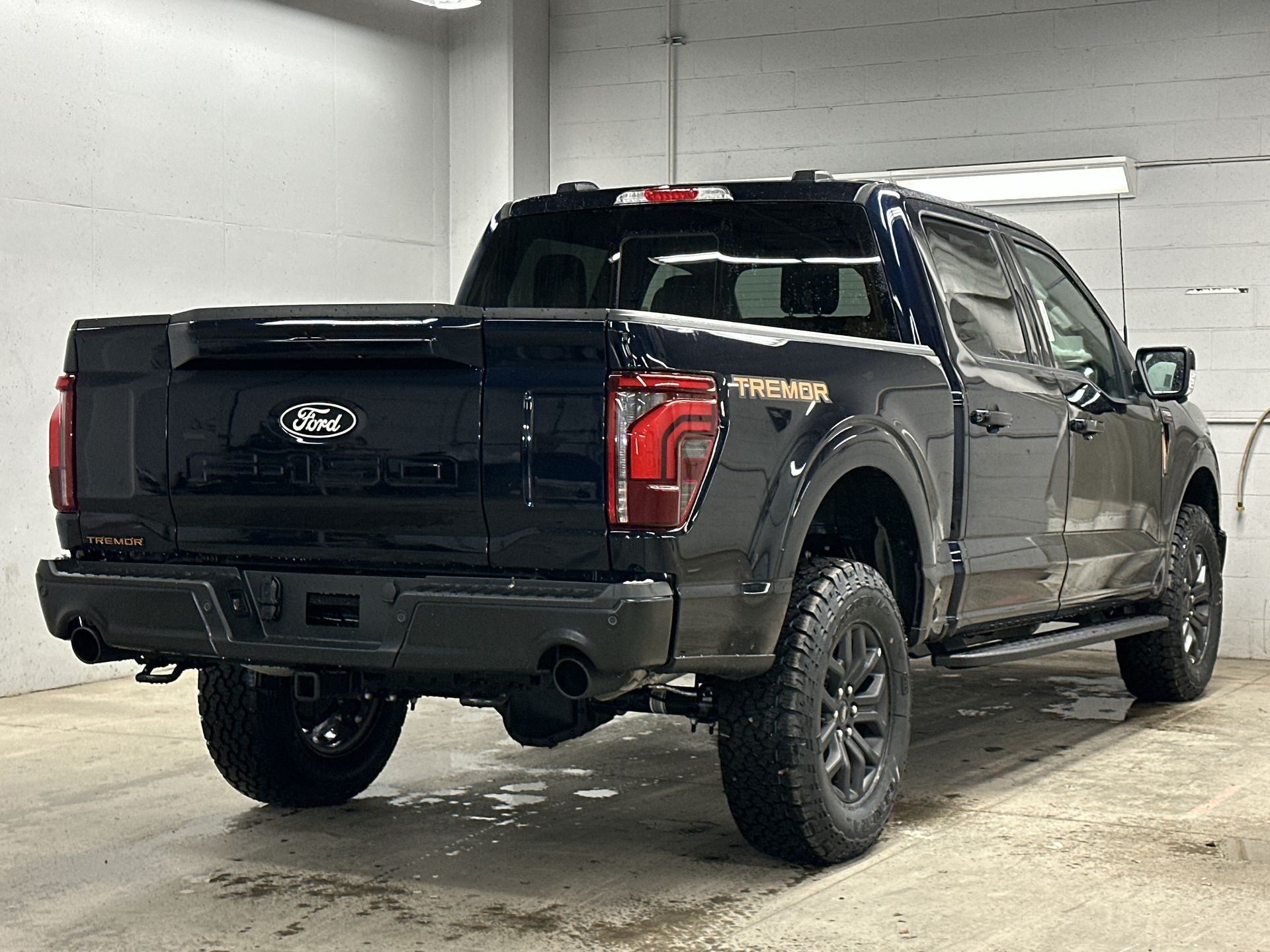 Thumbnail: 2025 Ford F-150 - 31