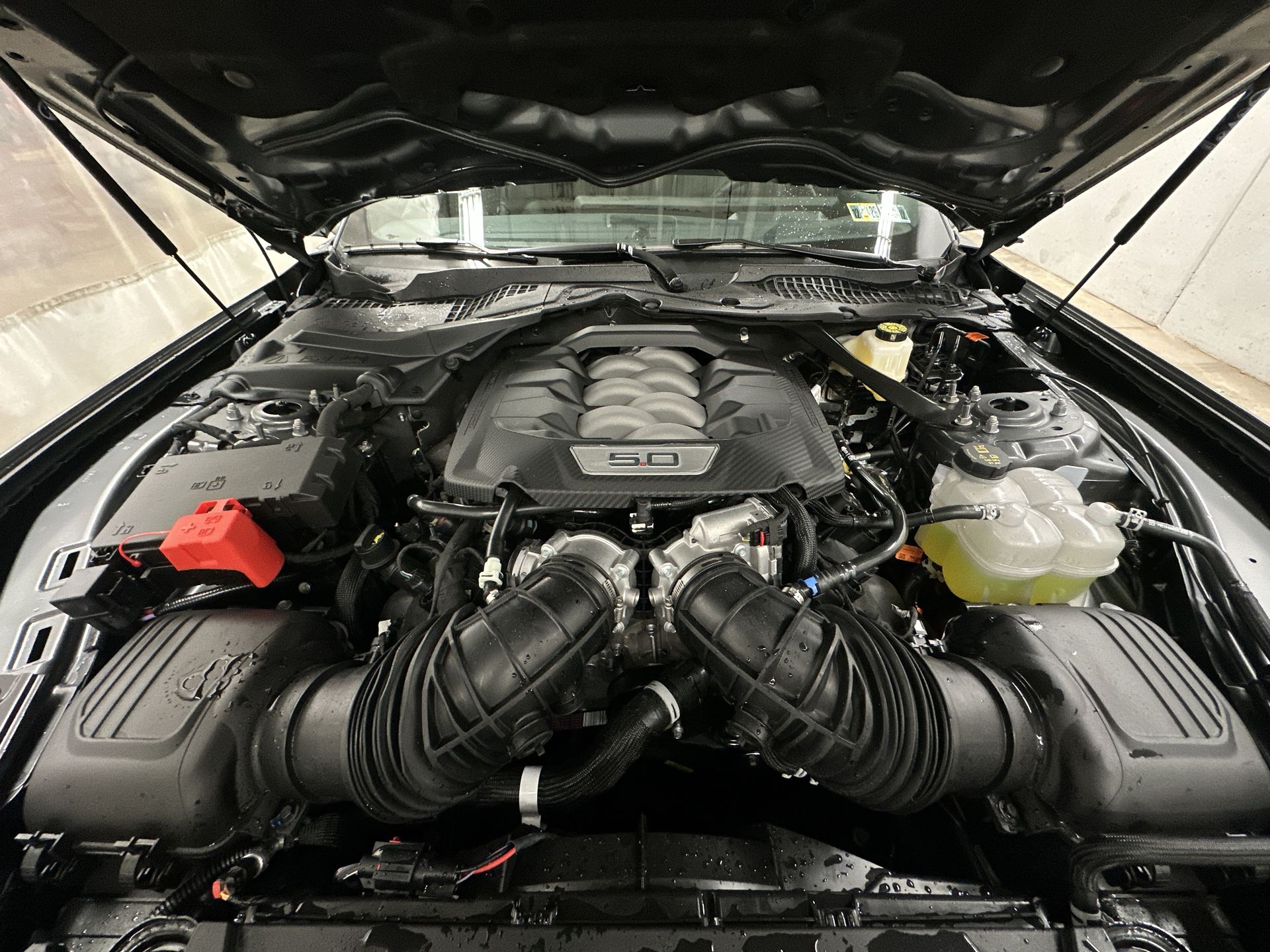 Thumbnail: 2026 Ford Mustang - 27