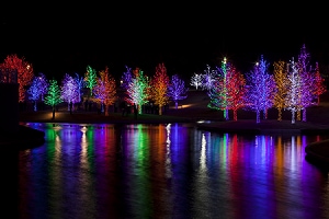 Holiday Trees Holiday Trees