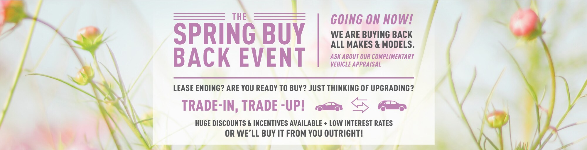 Baierl Ford New Ford & Used Car Dealer Zelienople PA