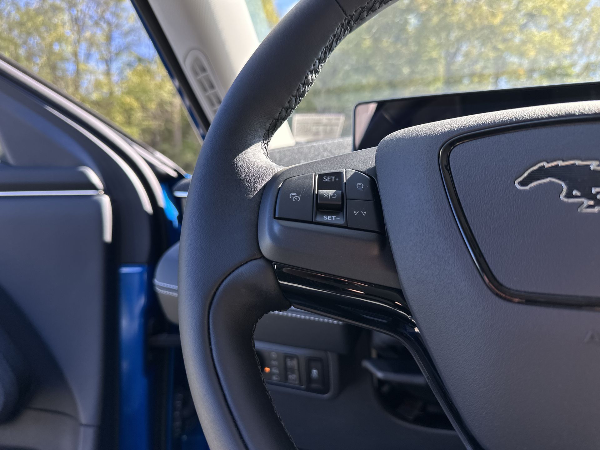 Thumbnail: 2025 Ford Mustang Mach-E - 8