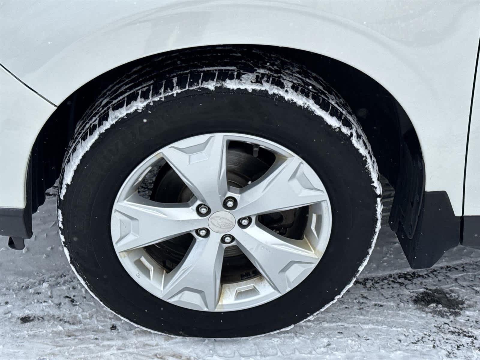 Thumbnail: 2014 Subaru Forester - 10