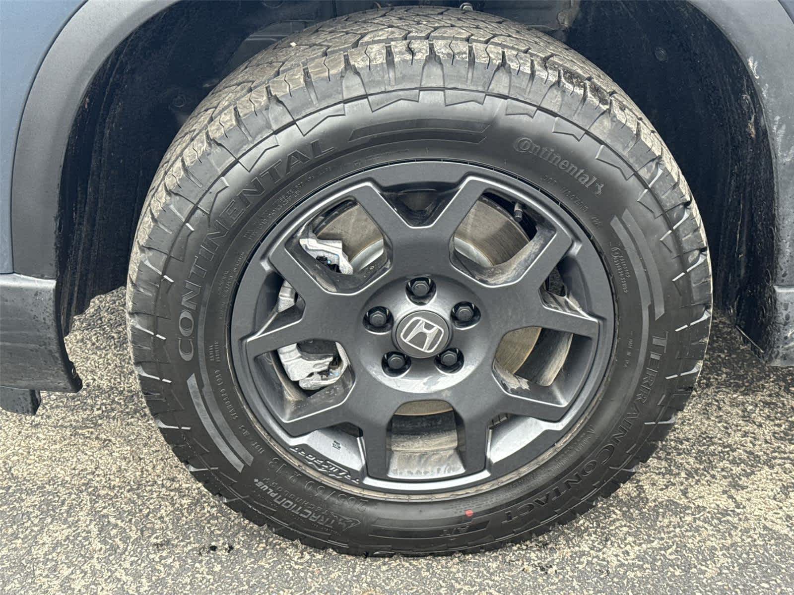 Thumbnail: 2026 Honda Pilot - 11