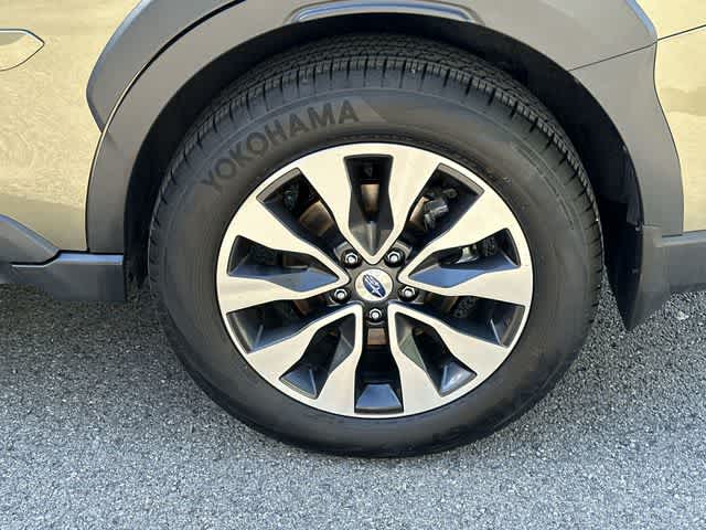 Thumbnail: 2025 Subaru Outback - 5