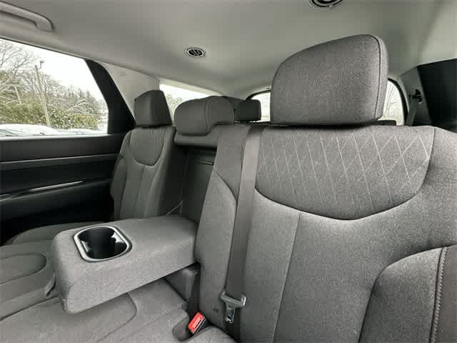 Thumbnail: 2021 Hyundai Palisade - 15