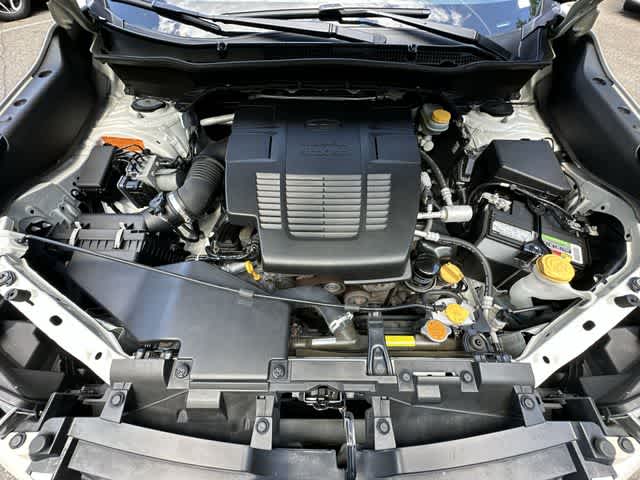 Thumbnail: 2019 Subaru Forester - 25