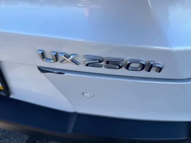 Thumbnail: 2020 Lexus UX - 4