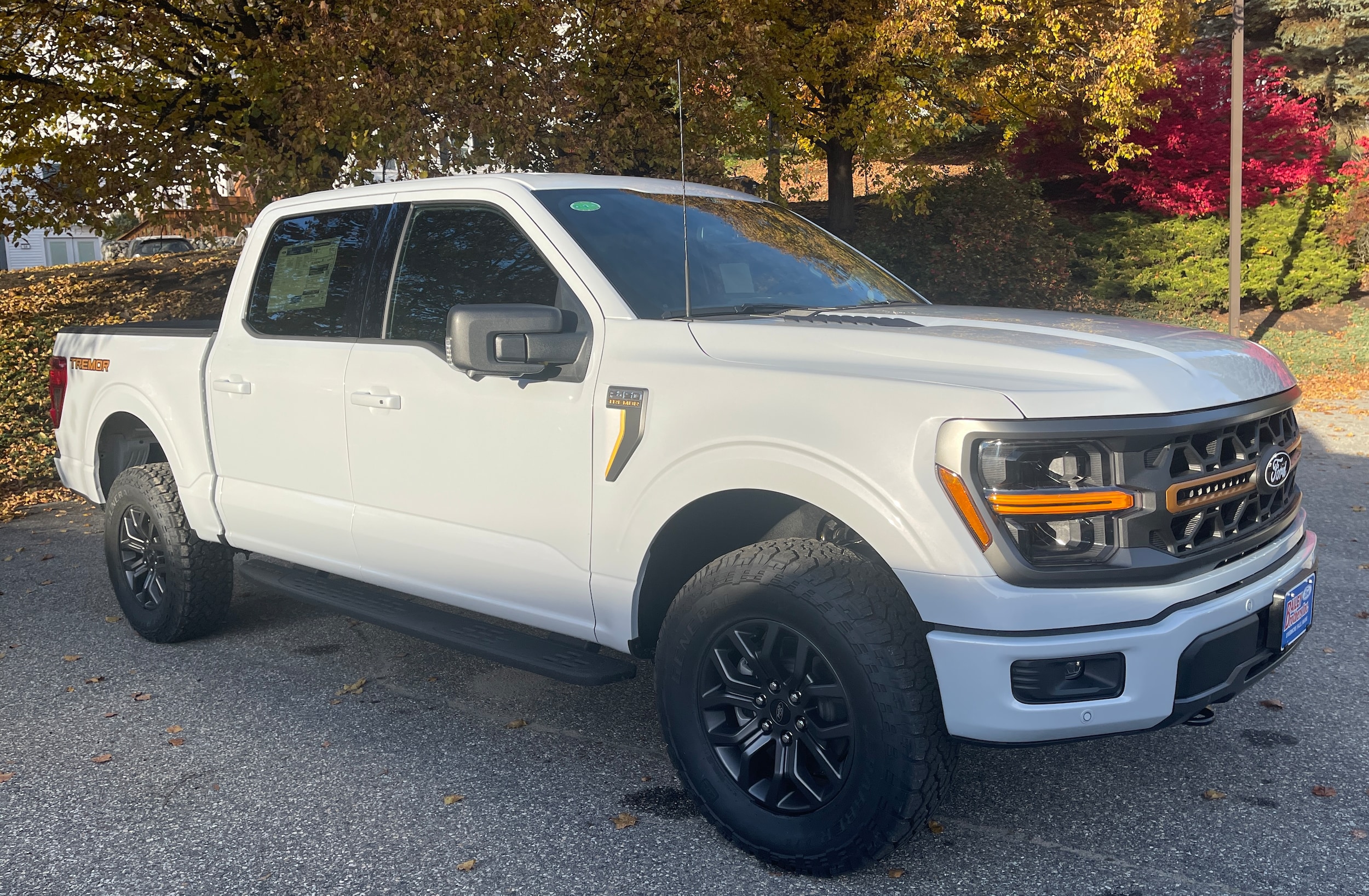 2025 Ford F-150 Tremor's photo