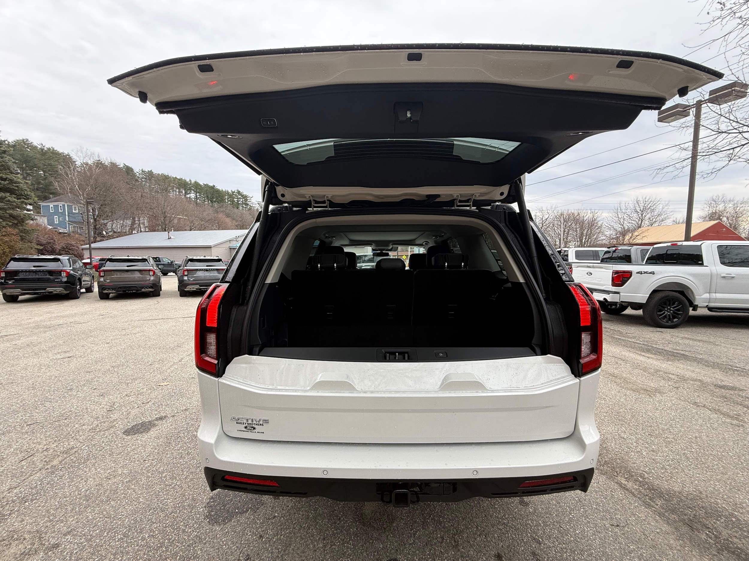 2026 Ford Expedition Active - Photo 9