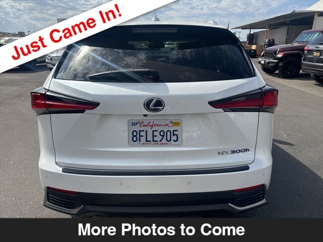 2019 Lexus NX 300h Luxury photo 3