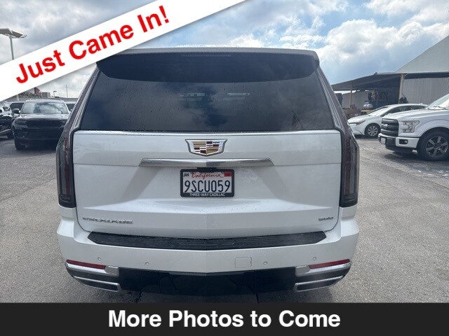 2025 Cadillac Escalade Premium Luxury photo 3