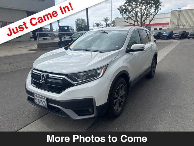 2022 Honda CR-V EX-L AWD's photo