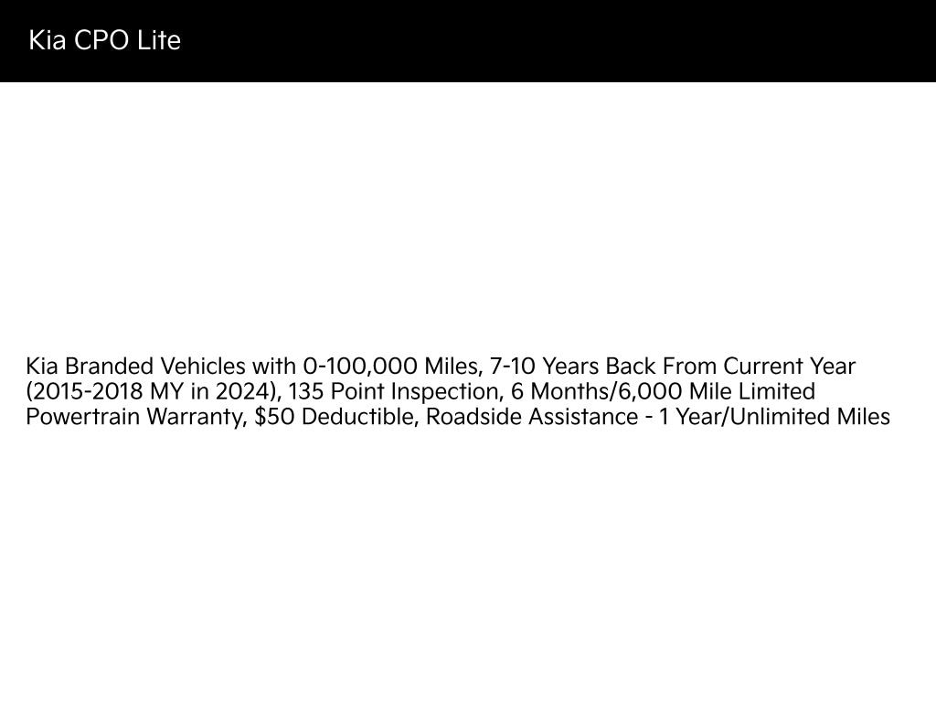 Certified 2019 Kia Niro EV EX Premium SUV