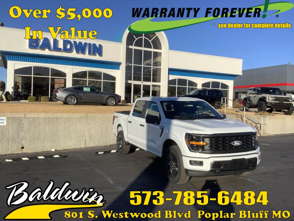 2025 Ford F-150 STX's photo